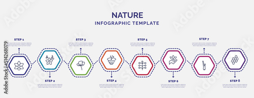 infographic template with icons and 8 options or steps. infographic for nature concept. included orchid, peony, , mimosa, save nature, lemongrass, hive icons.