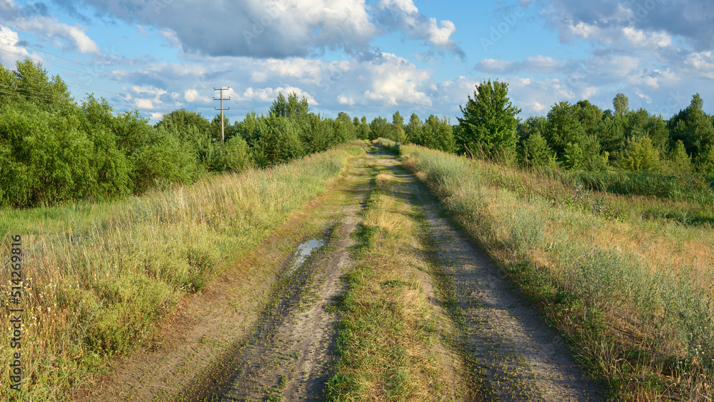 Calm ukrainian landscape with dirt road among the meadows and trees in the evening.