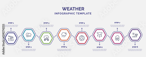 infographic template with icons and 8 options or steps. infographic for weather concept. included aurora, thundersnow, downpour, waxing moon, thaw, hail, subtropical climate icons.