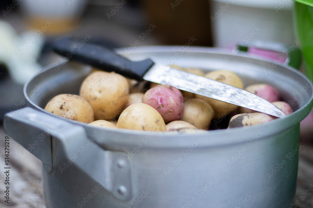 Stainless steel saucepan with raw new potatoes and a kitchen knife. Potatoes not peeled. Close