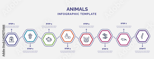 infographic template with icons and 8 options or steps. infographic for animals concept. included herpetarium, blowfish, baby chicken, japanese cat head, japan koi fish, coati, heron icons.
