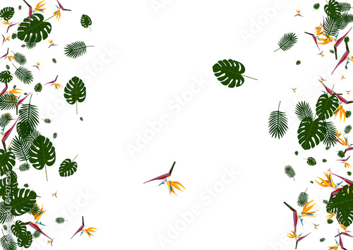 Light Green Leaf Background White Vector. Tree Forest Frame. Green Philodendron. Culture Texture. Pink Miami Pattern.