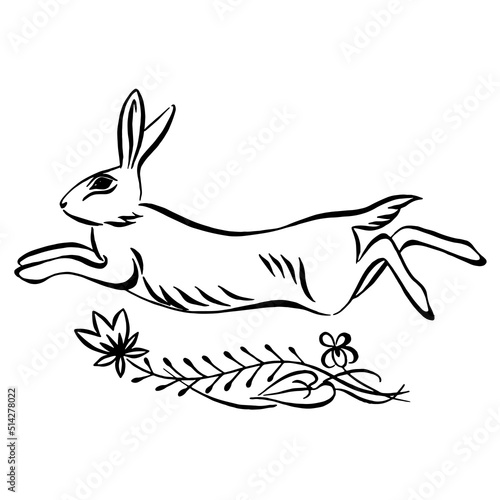 Decorative rabbit. Jumping hare with flowers ornament drawing. Vector black and white rabbit illustration. linear drawing. calligraphy image.