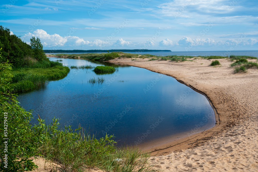 River on a sandy beach with greenery River on a sandy beach with greenery