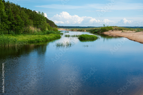 River with coniferous forest and beach