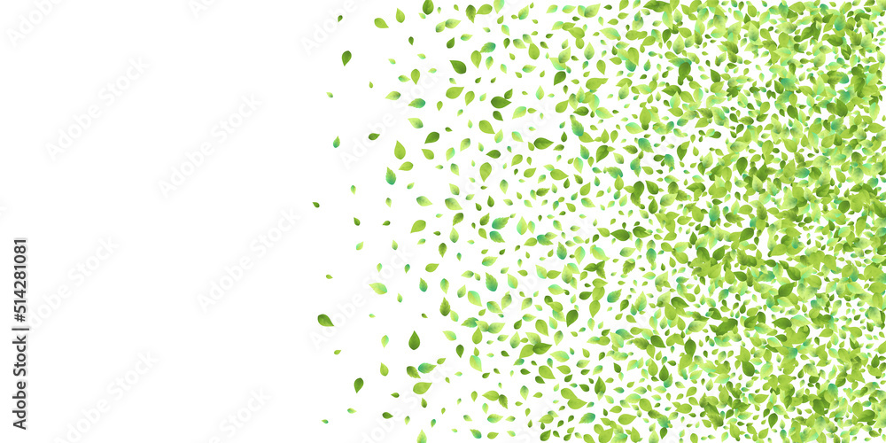 Fototapeta premium Leaves Green Falling Flying Foliage Leaf Tea Mint