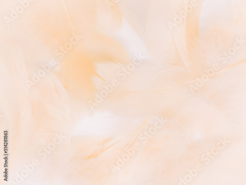 Beautiful abstract black feathers on white background  soft white feather texture on white texture pattern  dark theme wallpaper  gray feather background  gray banners  white gradient