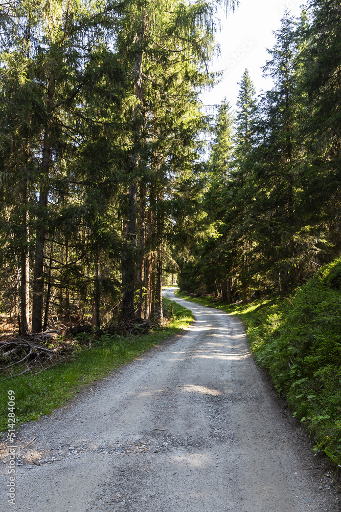 Wonderful mountain trekking route in South Tyrol. Beautiful natural landscapes. Wonderful mountain trekking route in South Tyrol. Beautiful natural landscapes.