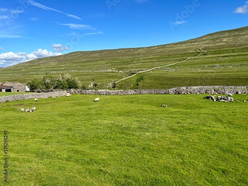 Yorkshire Dales National Park landscape, with sheep, dry stone walls, and a farm near, Horton in Ribblesdale, UK