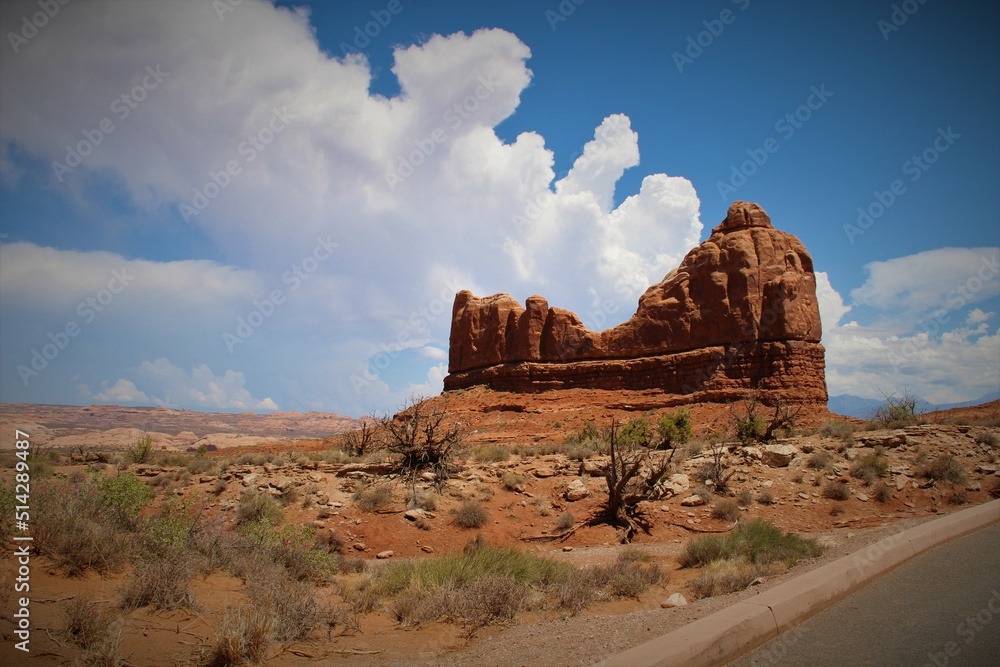 desert rock