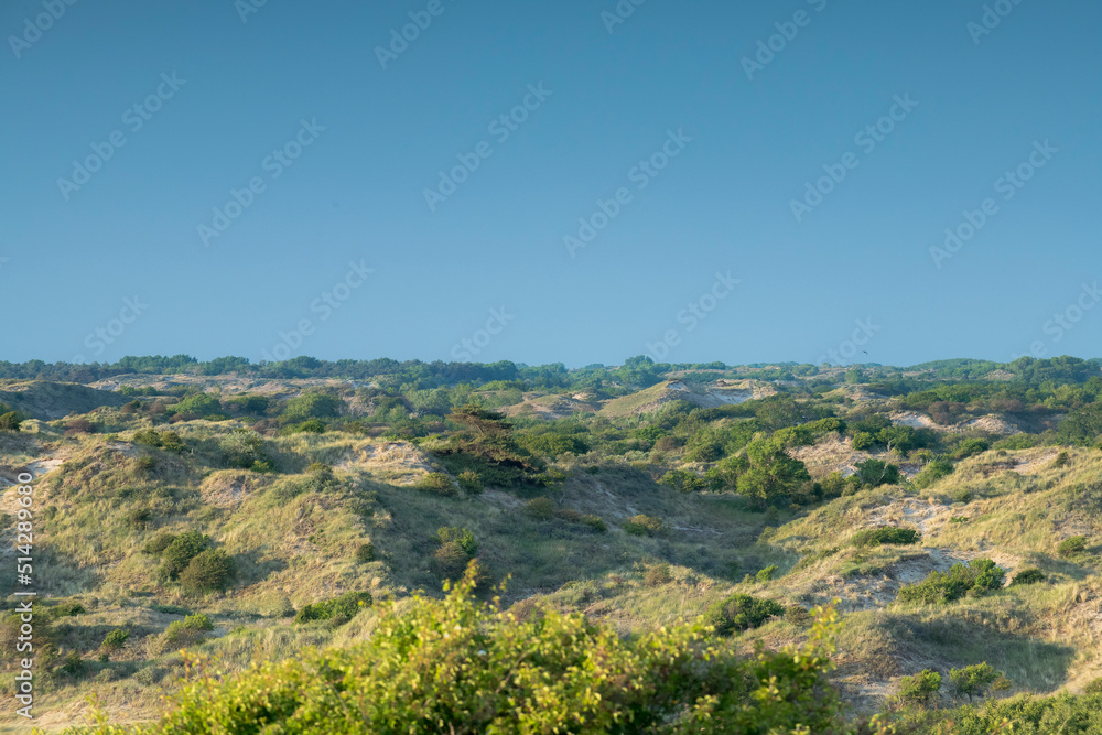 View on an open dune lansdscape