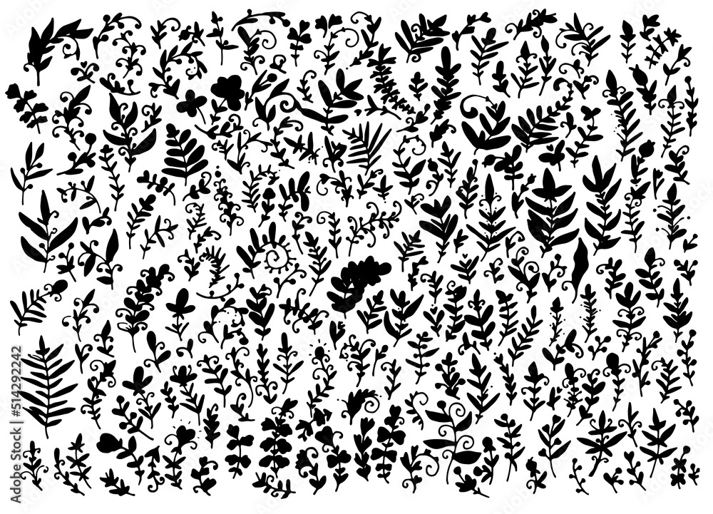 Fototapeta premium a set of silhouettes of twigs with astrakhan leaves. a set of twigs and blades of grass with leaves dots curls isolated black silhouettes on white for a design template