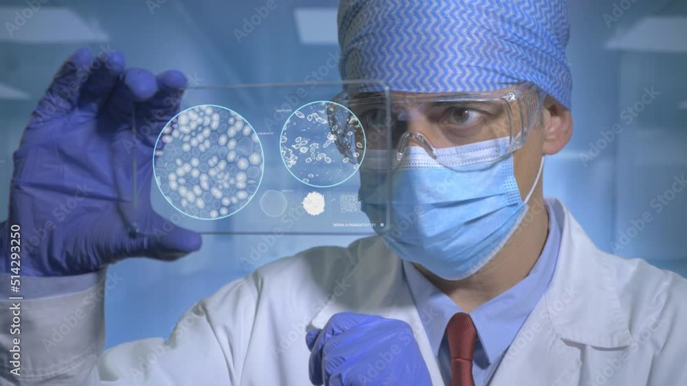 Scientist Looking Bacteria Scientist Looking Bacteria