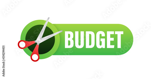 Budget cut in flat style on white background. Vector illustration, cartoon character