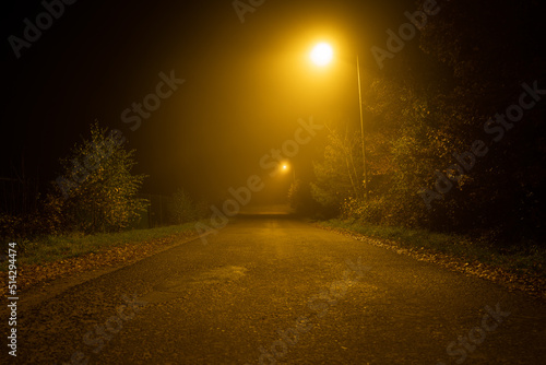 Asphalted street with glowing lanterns on a foggy autumn night © Mentor