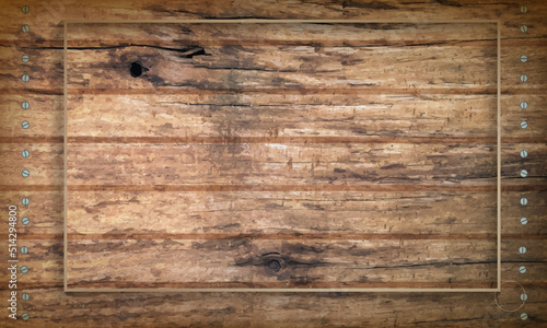 wooden texture background vector