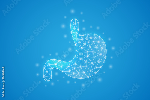 Stomach low poly symbol with white connected dots. 3d geometric polygonal Organ anatomy. Digestive system, transplantation design vector illustration.