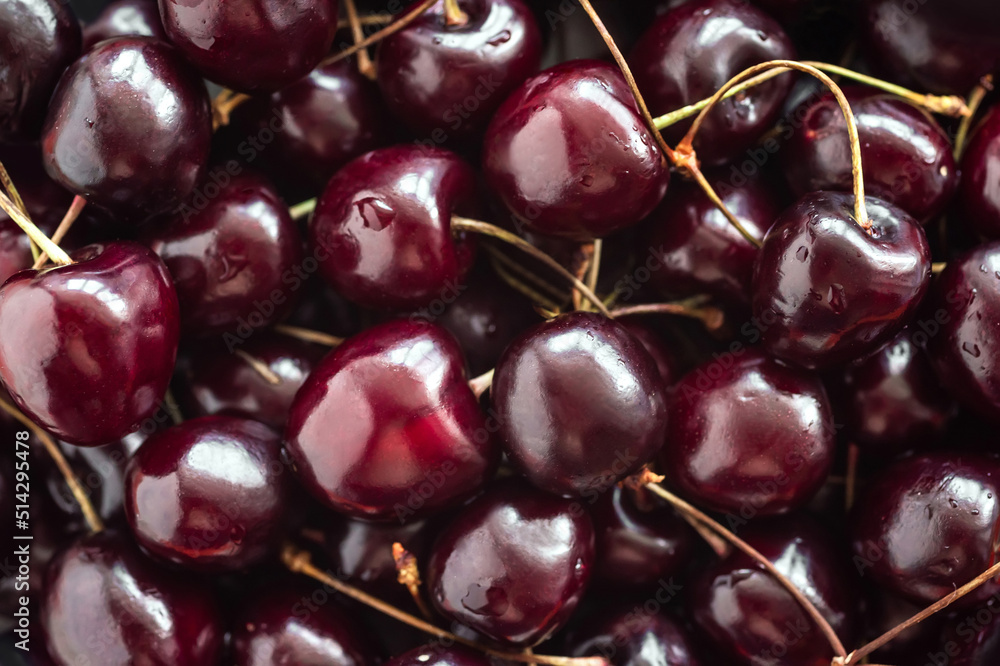 Bunch of ripe cherries in the market close-up. Cherry background Bunch of ripe cherries in the market close-up. Cherry background