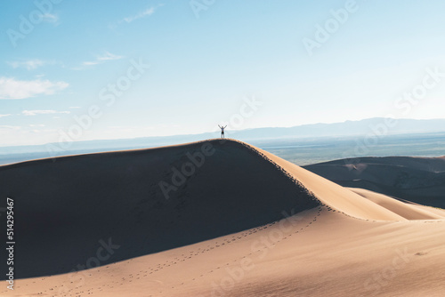 Celebration of Summiting a Sand Dune