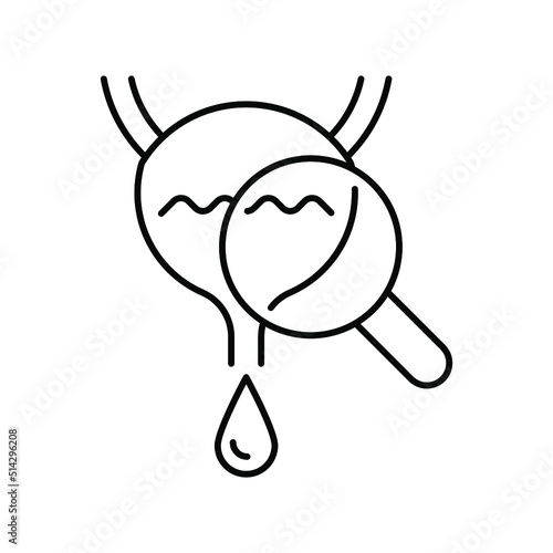 magnifying glass, diagnostics bladder. Line icon