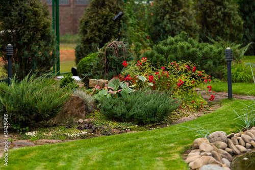 Evergreen shrubs and junipers, flowers and arborvitae in a flower bed in landscape design