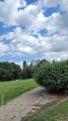 View in the park
