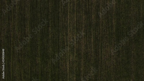 Crop Field Flyover