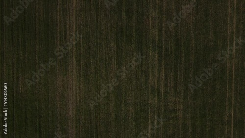 Crop Field Reverse