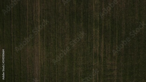 Crop Field