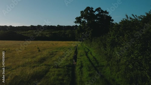 Dog Walk