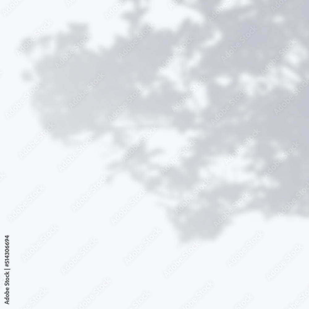 Realistic Vector transparent overlay blurred shadow of branch leaves. Design Element for Presentations and Mockups. Overlay Effect of Tree Shadow. Realistic Vector transparent overlay blurred shadow of branch leaves. Design Element for Presentations and Mockups. Overlay Effect of Tree Shadow.