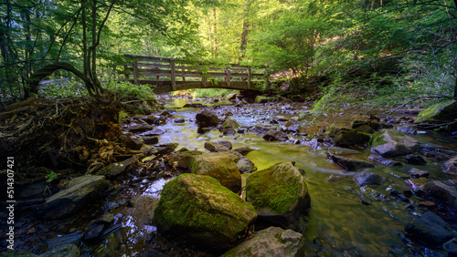 Stream and foot bridge at Hacklebarney State Park New Jersey