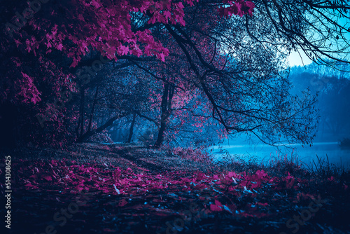 Mysterious road. Fairy Forest. Mystical atmosphere. Paranormal another world. Stranger forest in a fog. Dark scary park. Background wallpaper. Horrible dream.