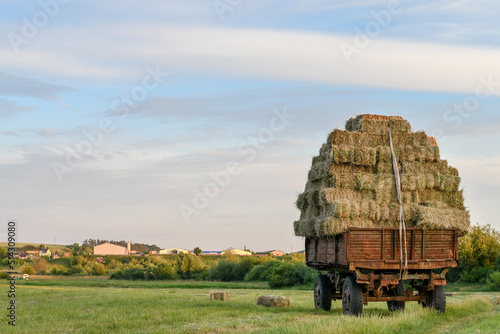Old tractor trailer loaded with hay bales at the meadow. Warm sunset light. Selective focus.