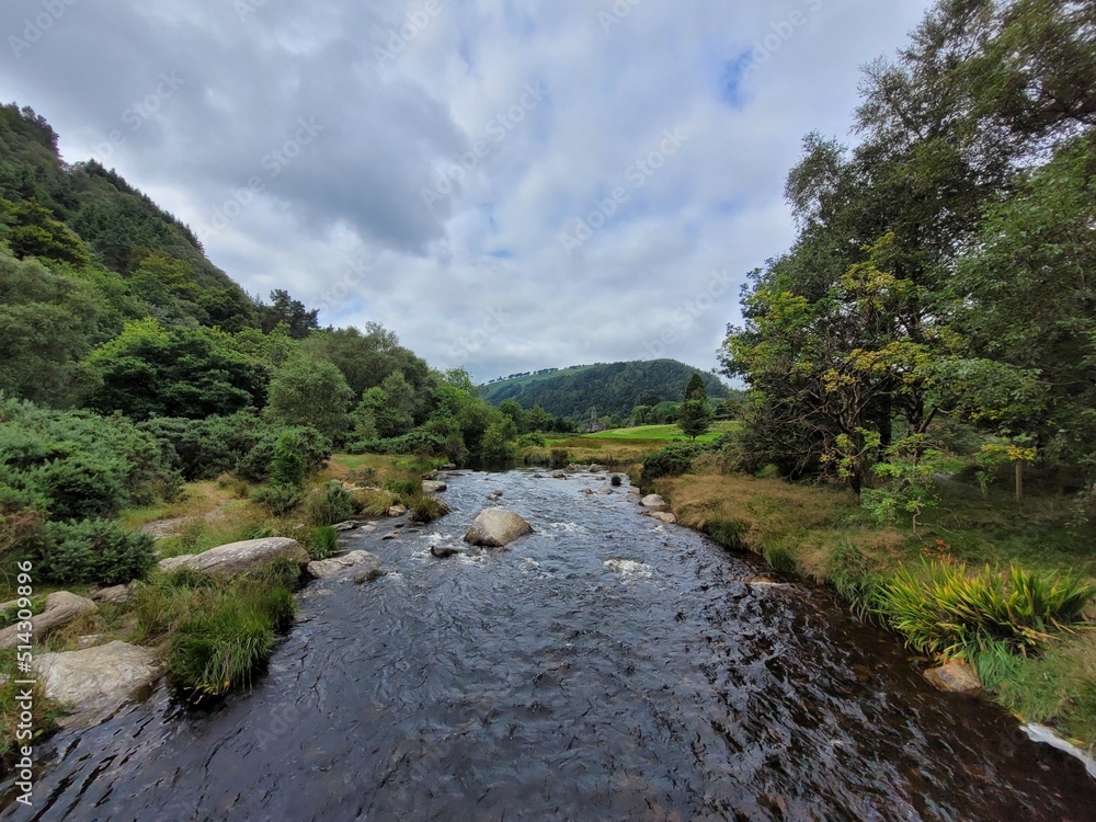 Small river in a forest of Ireland Small river in a forest of Ireland