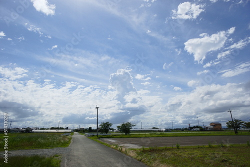 夏空と田舎道
