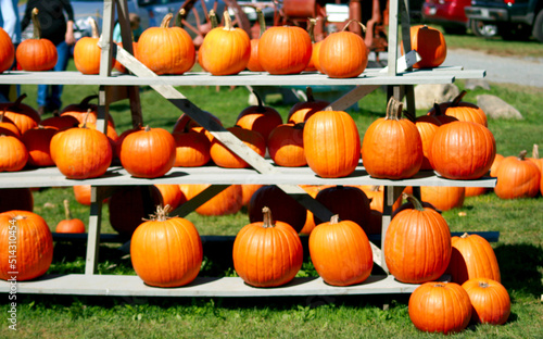 Pumpkin farm stand