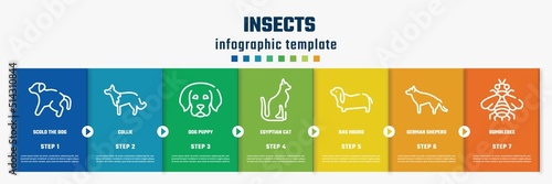 insects concept infographic design template. included scold the dog, collie, dog puppy, egyptian cat, bas hound, german sheperd, bumblebee icons and 7 option or steps.