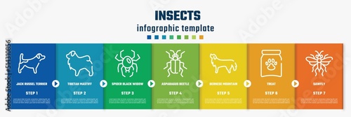 insects concept infographic design template. included jack russel terrier, tibetan mastiff, spider black widow, asparagus beetle, bernese mountain dog, treat, sawfly icons and 7 option or steps.