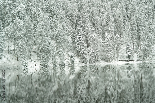 Wald Winter Schnee See Spiegel