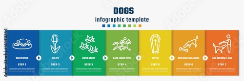 dogs concept infographic design template. included dog resting, tulips, birds group, race horse with jockey, coffin, dog smelling a bone, man combing a dog icons and 7 option or steps.