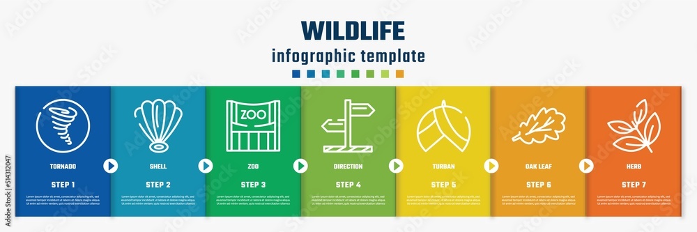 wildlife concept infographic design template. included tornado, shell, zoo, direction, turban, oak leaf, herb icons and 7 option or steps. wildlife concept infographic design template. included tornado, shell, zoo, direction, turban, oak leaf, herb icons and 7 option or steps.