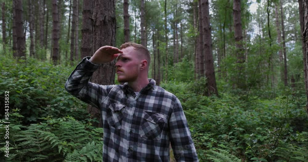 Man looking around in a woodland Man looking around in a woodland