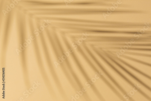 Top view of green tropical leaf shadow on sand color background. Flat lay. Minimal summer concept with palm tree leaf. 