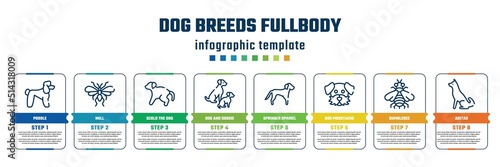 dog breeds fullbody concept infographic design template. included poodle, null, scold the dog, dog and doggie, springer spaniel, moustache, bumblebee, akitas icons and 8 steps or options.