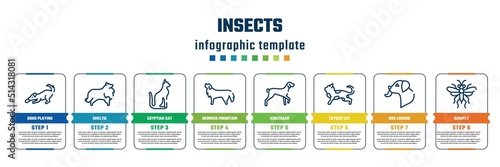 insects concept infographic design template. included dogs playing, sheltie, egyptian cat, bernese mountain dog, kurzhaar, toyger cat, dog licking, sawfly icons and 8 steps or options.