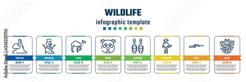 wildlife concept infographic design template. included pico cao, snowman, camel, panda, earrings, explorer, rifle, coral icons and 8 steps or options.
