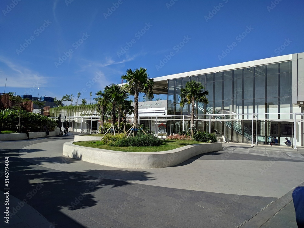 Obraz premium Palm tree at the office with clear blue sky at the background
