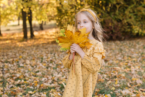 A beautiful little blonde girl is walking in an autumn park holding yellow maple leaves.