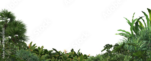 Garden with flowers and shrubs on a white background